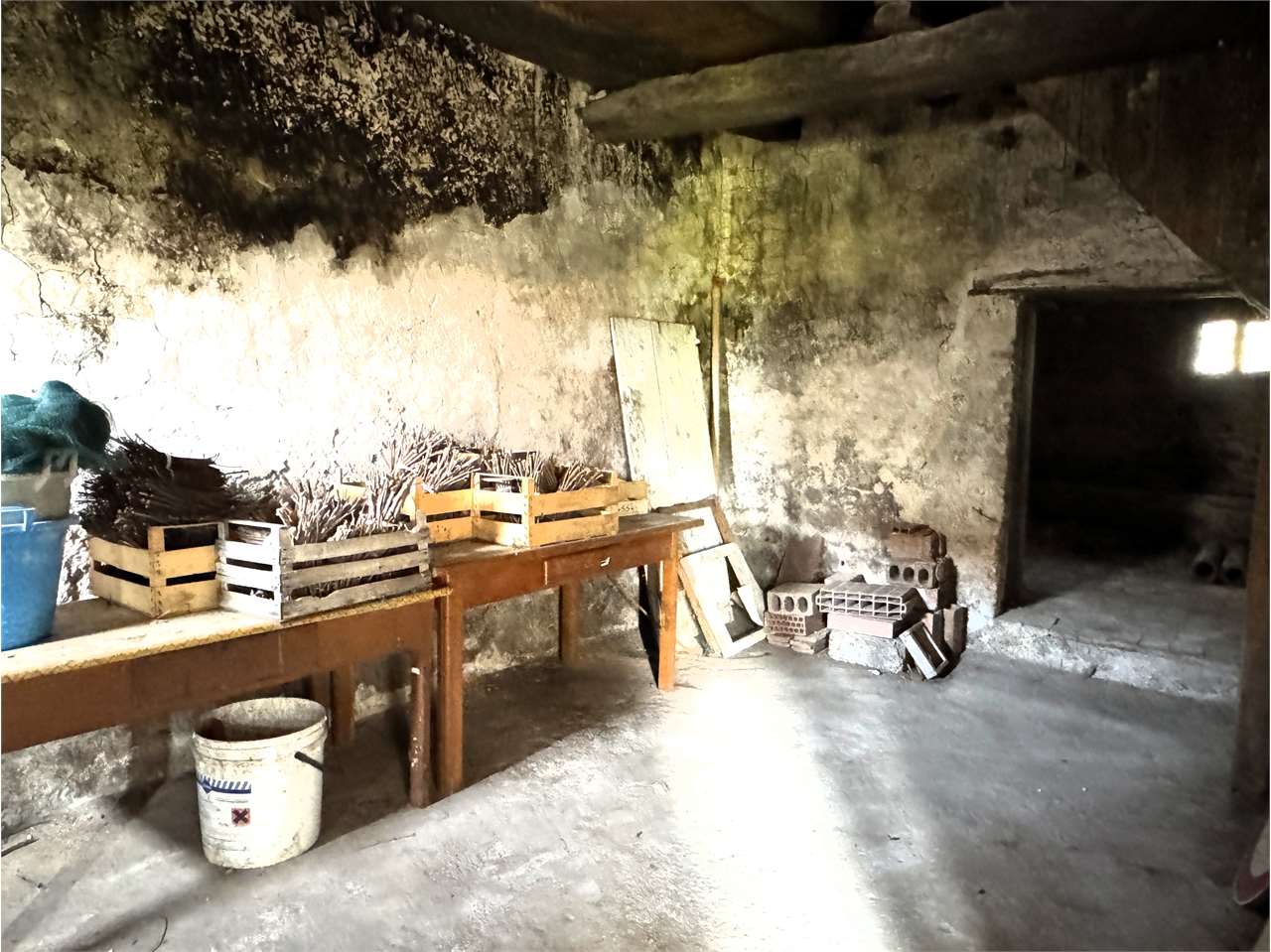 internal