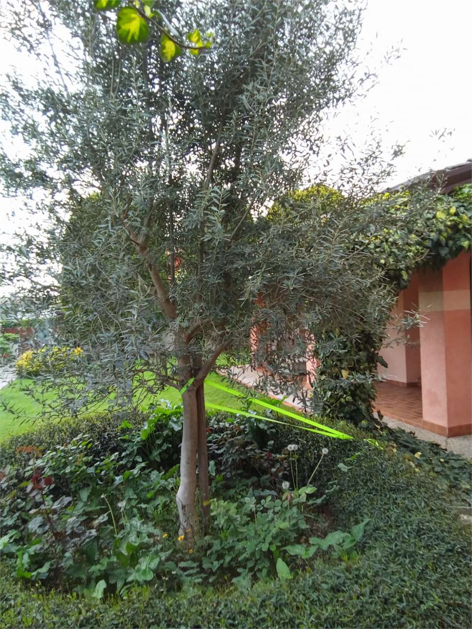 external