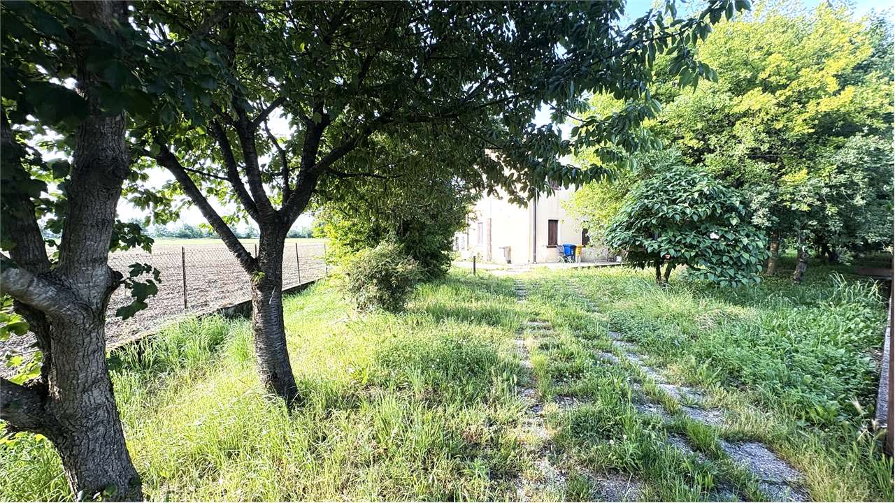 external